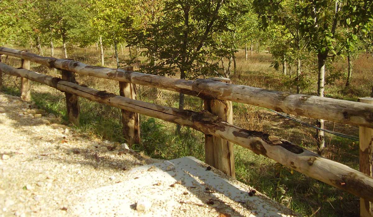 Agriserv Castellina in Chianti