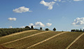 Agriserv Castellina in Chianti