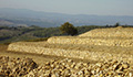 Agriserv Castellina in Chianti