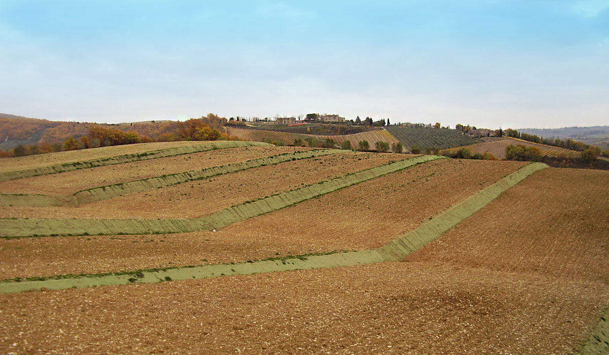 Agriserv Castellina in Chianti