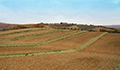 Agriserv Castellina in Chianti