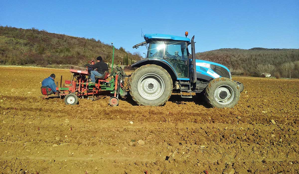 Agriserv Castellina in Chianti