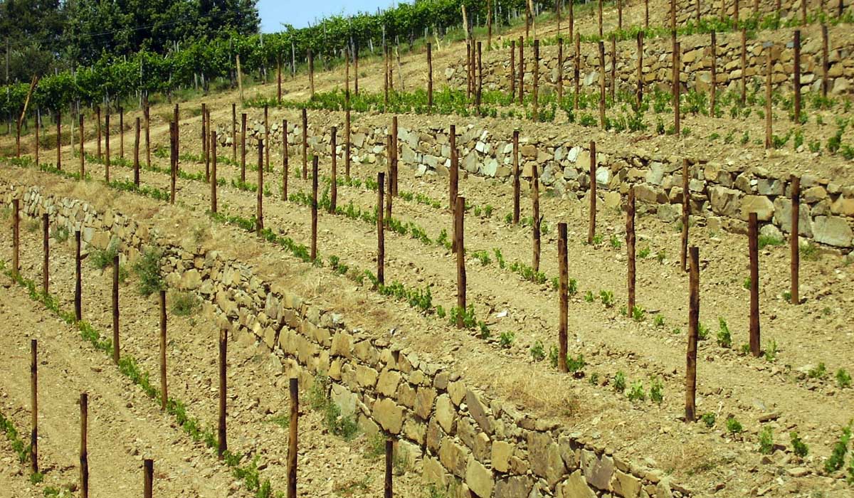 Agriserv Castellina in Chianti