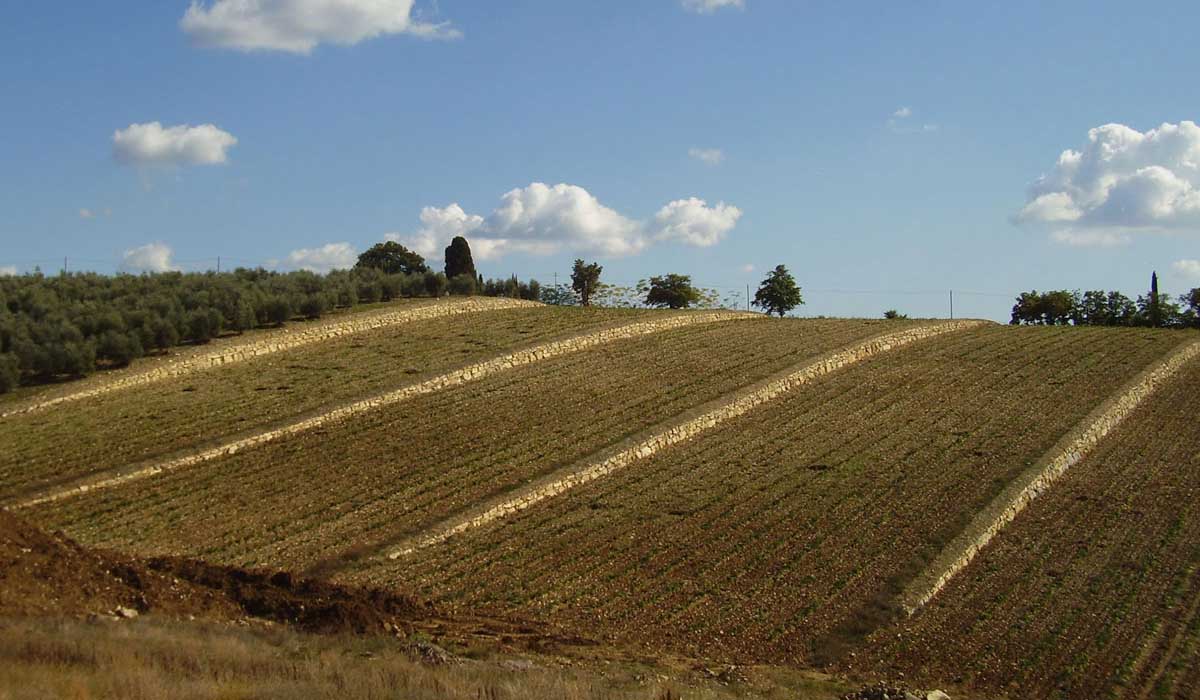 Agriserv Castellina in Chianti